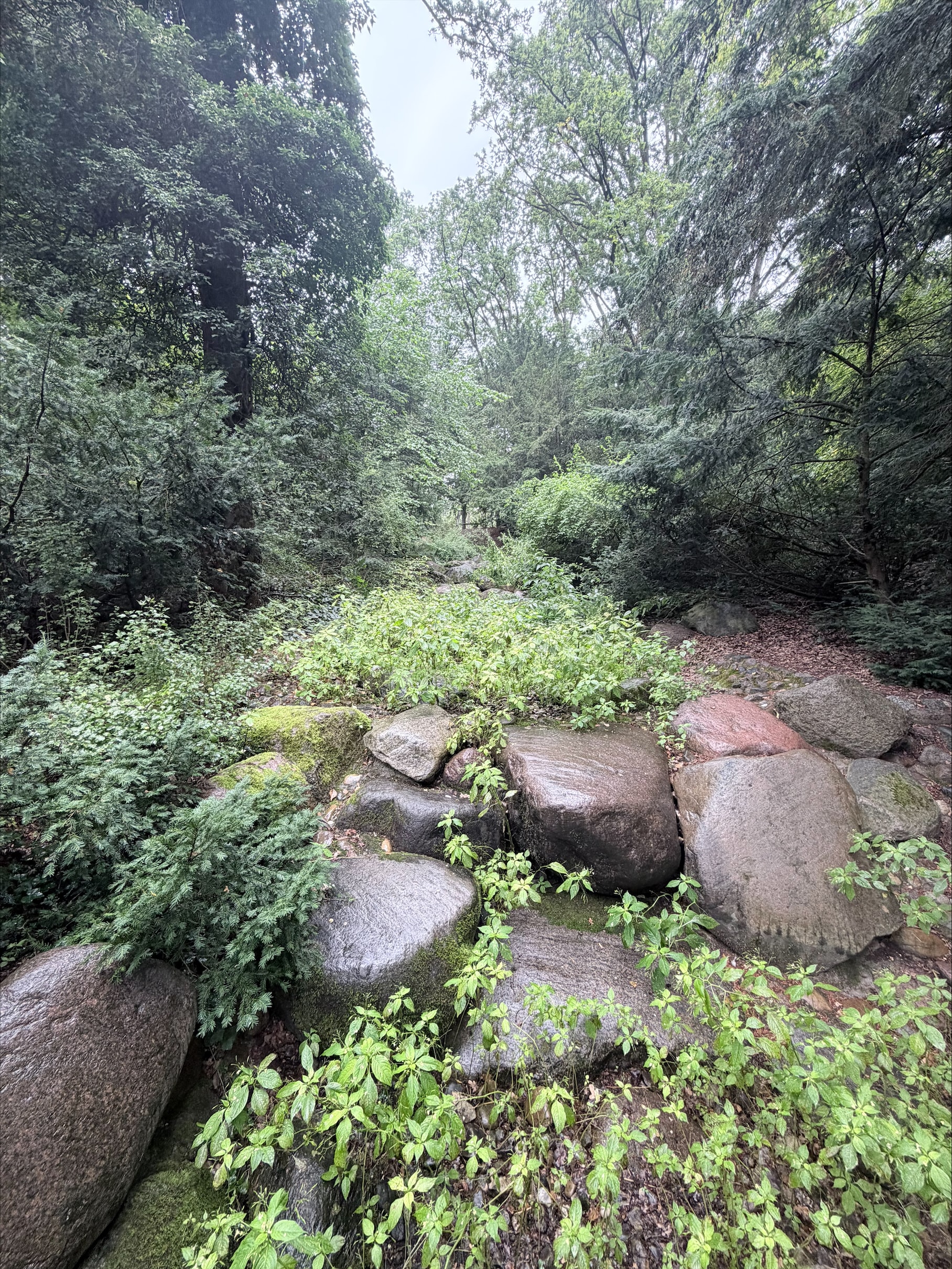 Große Steine und dichter Bewuchs am trockenen Wasserlauf im Steinbergpark